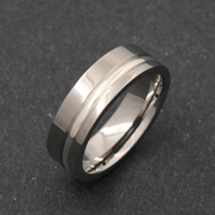 Titanium Ring - Silver Nehesi